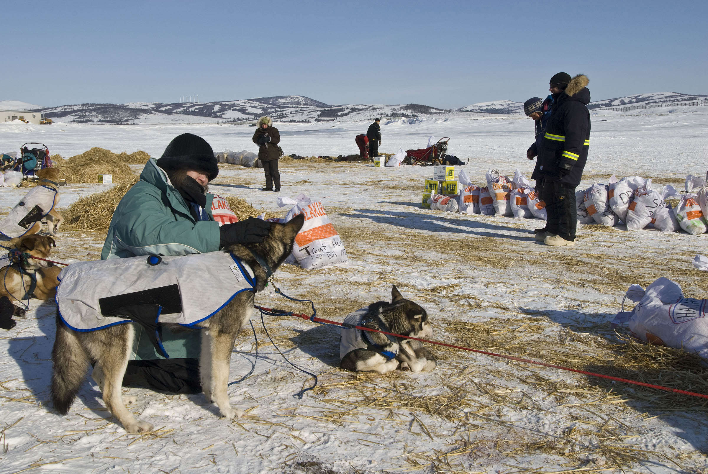 2024 Iditarod Race Nome Finish Tour